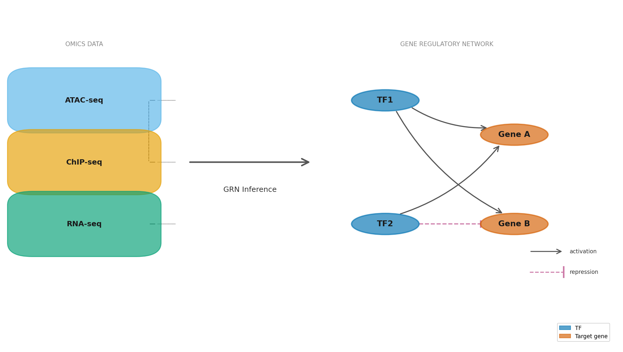 Gene Regulatory Network: Từ Phân Tử Đến Multi-Omics Và Ứng Dụng Lâm Sàng