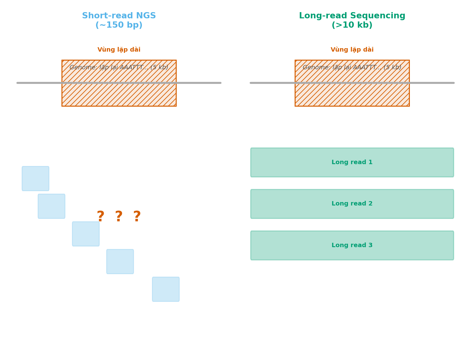 Hình 4.1: So sánh short-read và long-read trong vùng lặp
