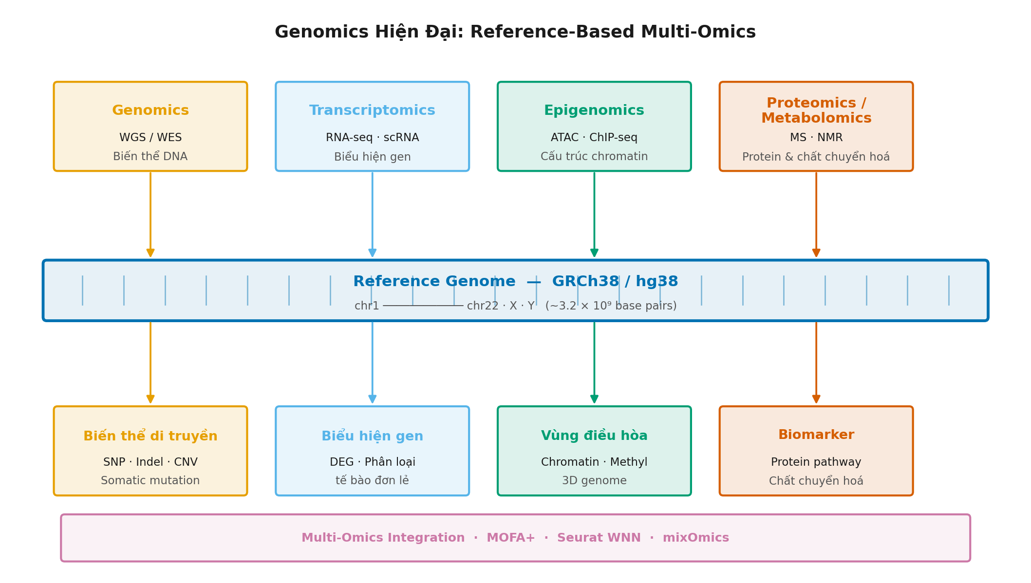 Tư Duy Lớn Của Genomics Hiện Đại: Reference Genome Và Hệ Sinh Thái Đa Omics