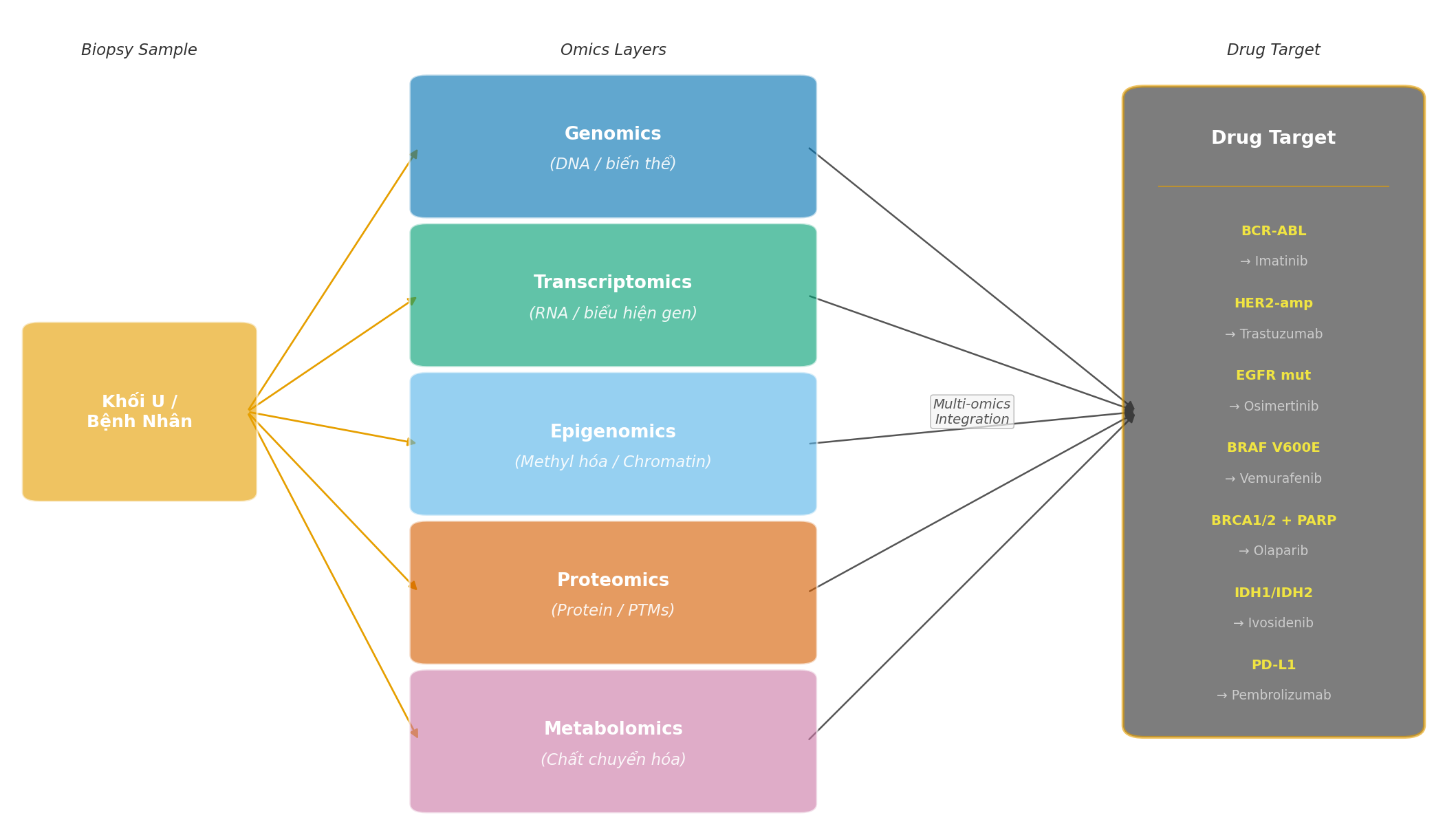 Từ Genome đến Drug Target: Vai Trò Của Omics Trong Nghiên Cứu Ung Thư