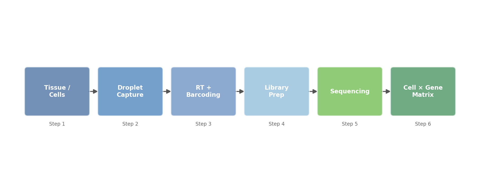 Quy trình scRNA-seq droplet-based