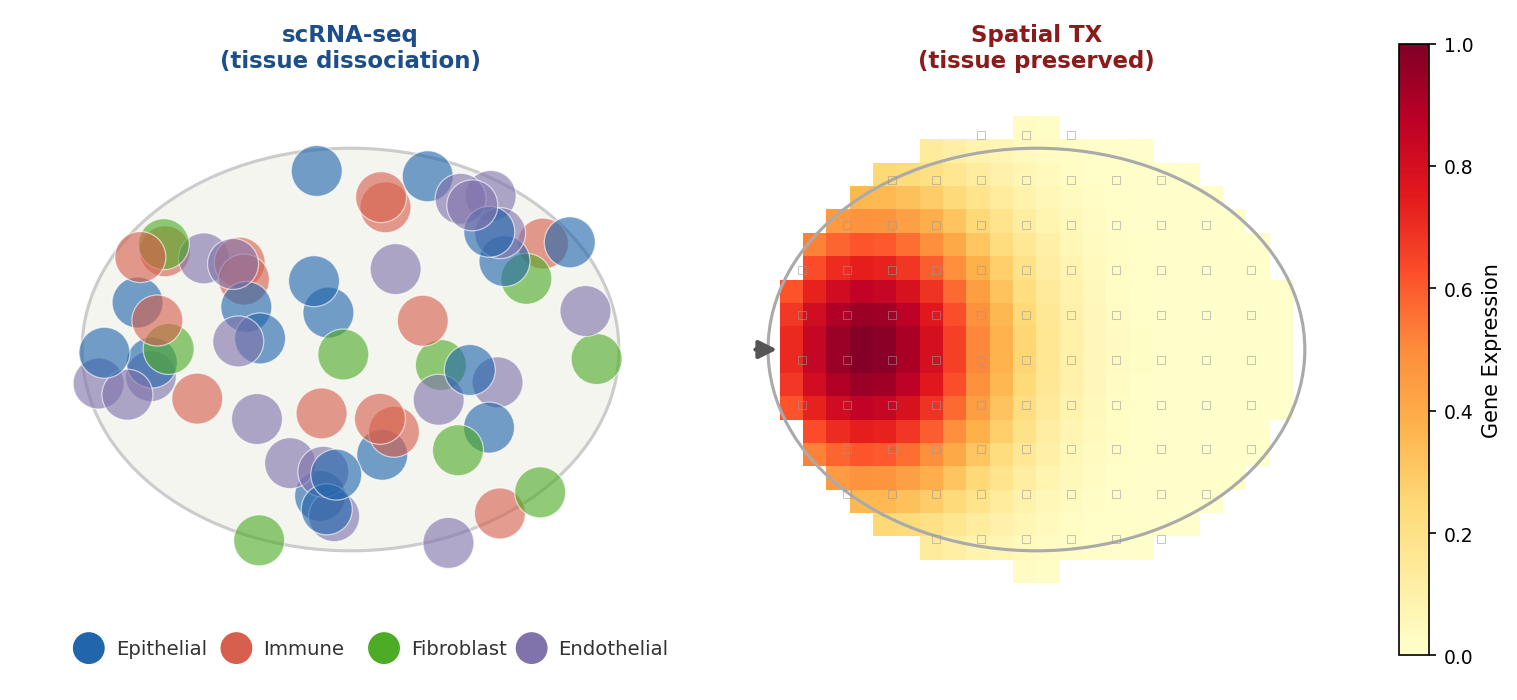 Spatial Transcriptomics: array-based và imaging-based