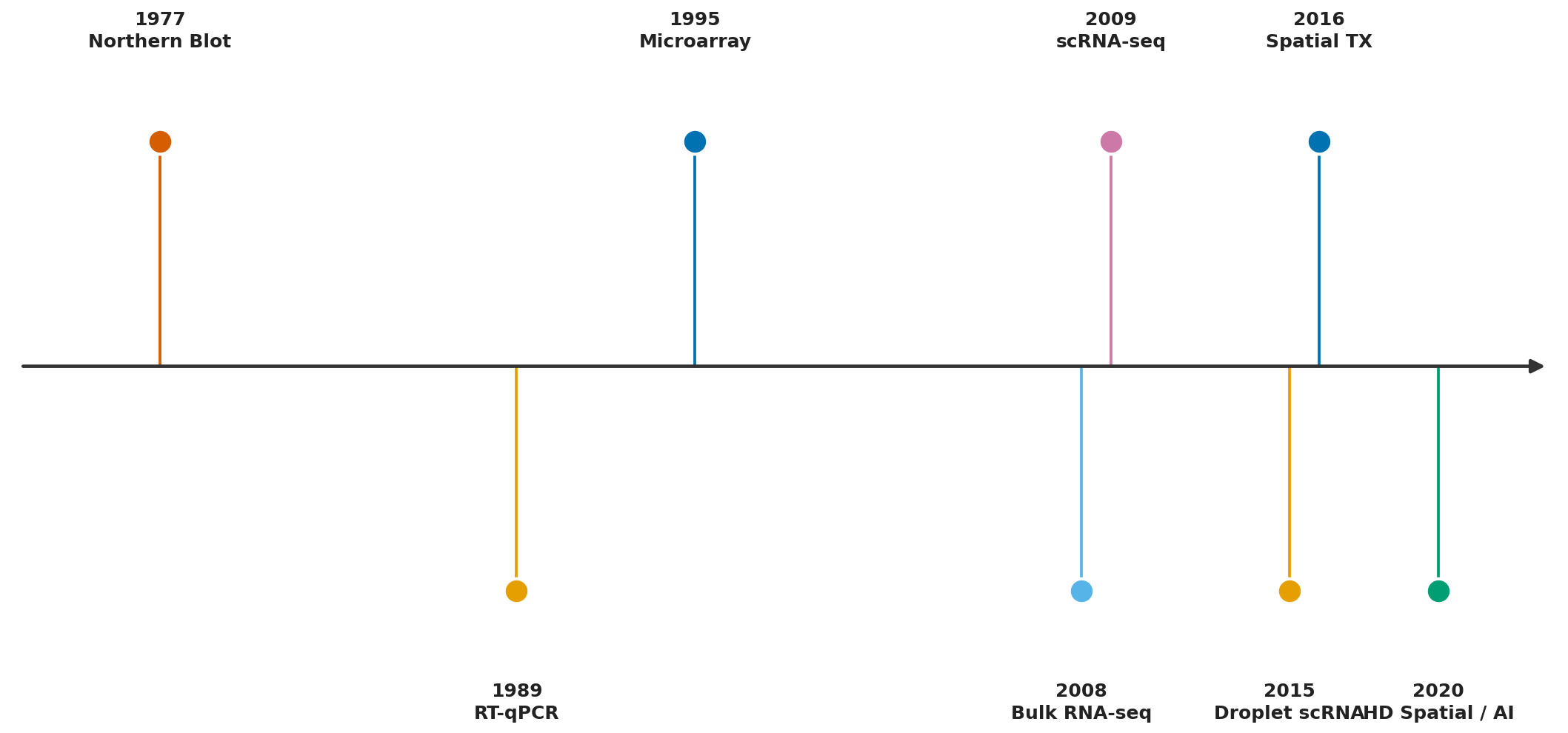 Transcriptomics: Hành Trình Giải Mã Hệ Phiên Mã và Các Công Nghệ Chủ Chốt